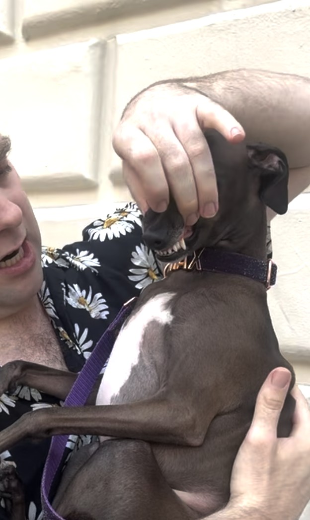 Dracula shows off his teeth.